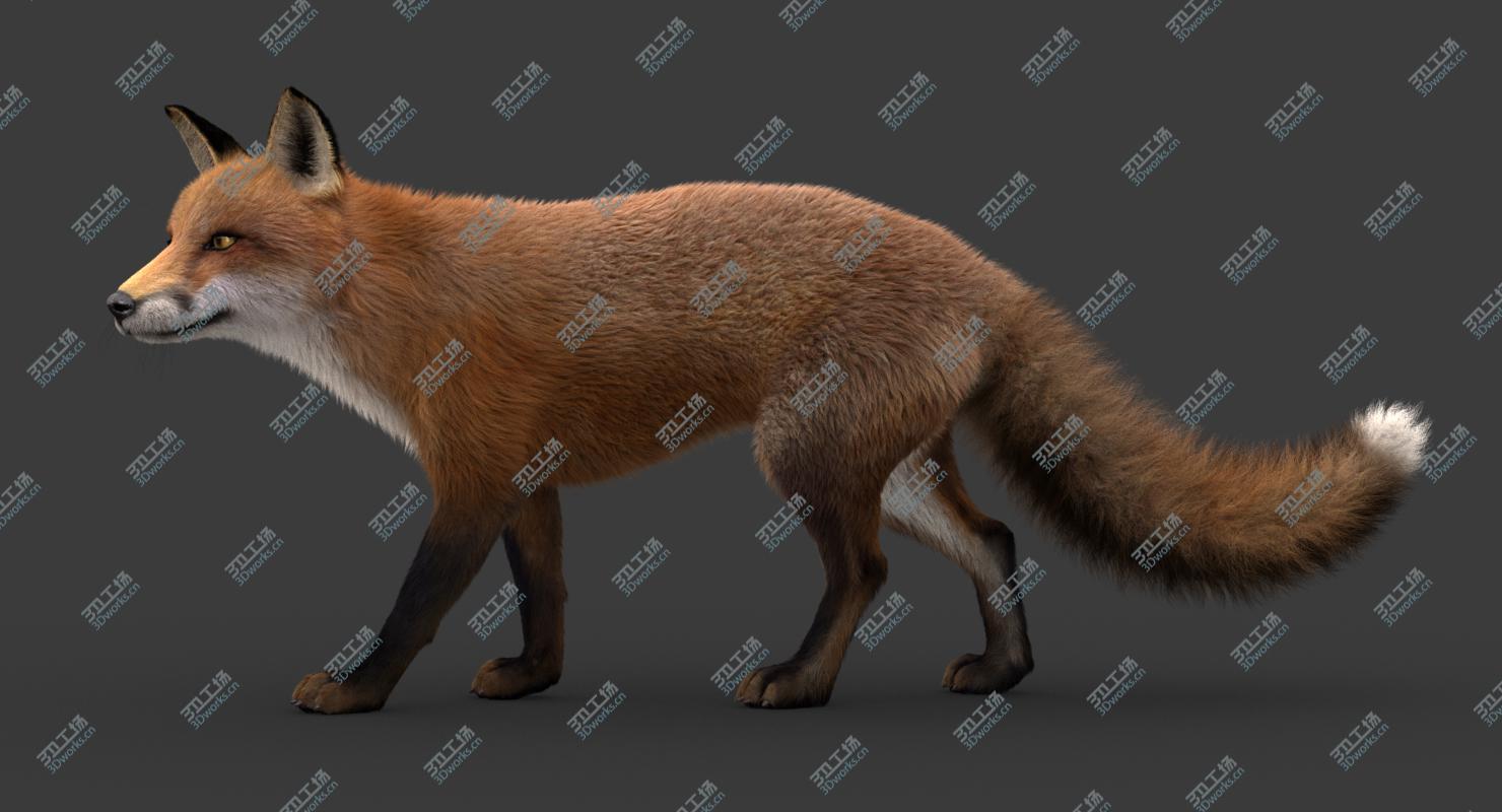 images/goods_img/202104021/3D model Fox (2) (RIG) (Fur)/1.jpg